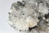 Scalenohedral Calcite Crystal Cluster - Cocineras Mine, Mexico #183751-1